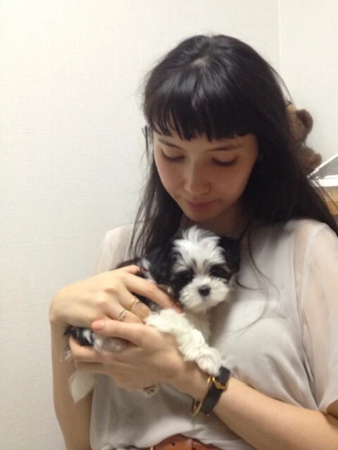 携帯内の写真を「カンガルー」で検索したらなぜか出てきた写真