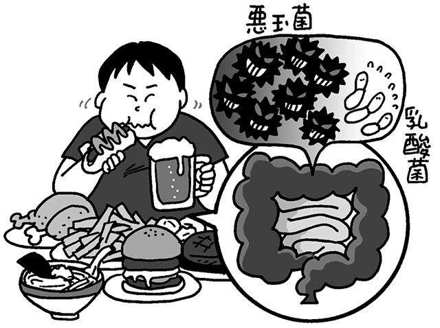 小腸で吸収できないくらい食べすぎると、分解できなかったタンパク質や脂肪が悪玉菌のエサとなる