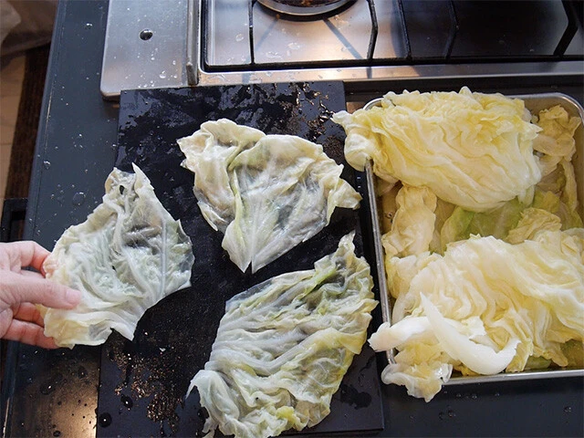 ４．キャベツを１枚ずつ剥がし、芯の部分を切り取る。葉の部分は２、３等分にカットし、具を包む皮を作る。
