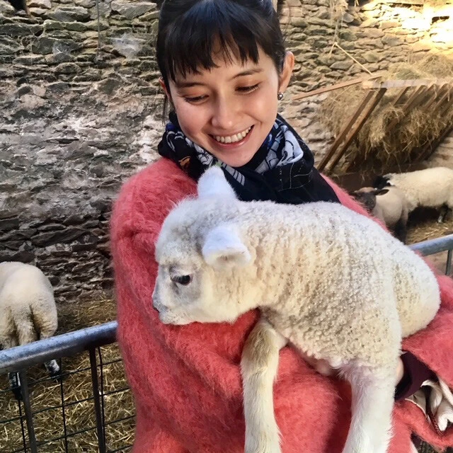 市川紗椰が気になる、ステンドグラスは"窓か窓じゃないか"をめぐる裁判