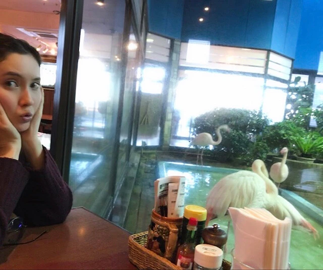 市川紗椰がアップデートしてほしい人間の部位を"仮想不具合修正"「歯が２回生え替わるよう、もうワンセット内蔵しました」