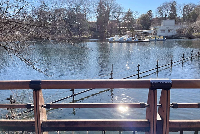 井の頭恩賜公園