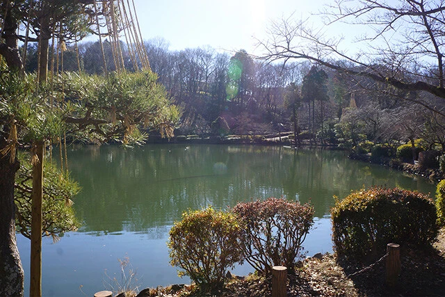 それにしてもいい天気