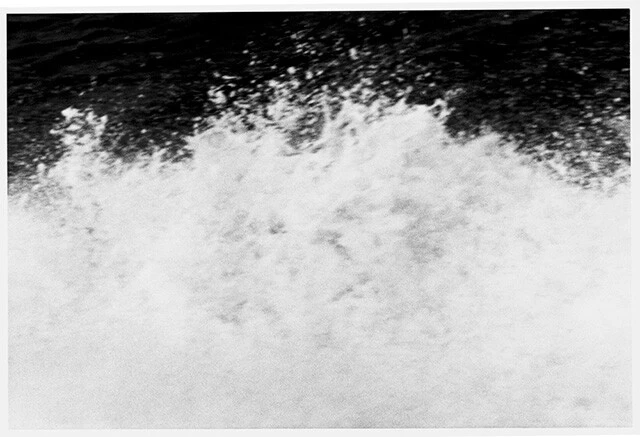 写真／野村佐紀子