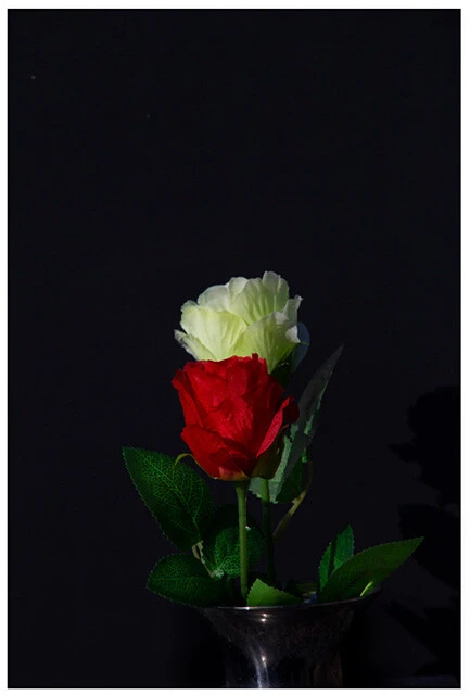 野村佐紀子写真展「海」より