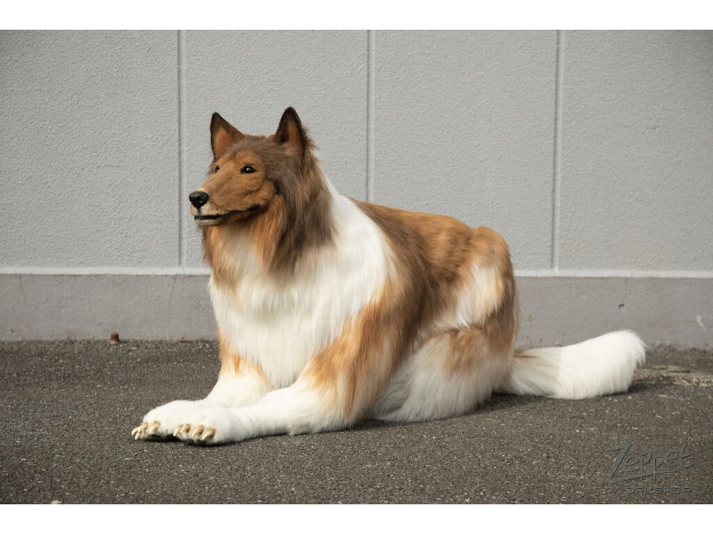 "動物になりたい！" その夢を叶えて本当に犬になったトコさんに聞く「次になりたい動物」