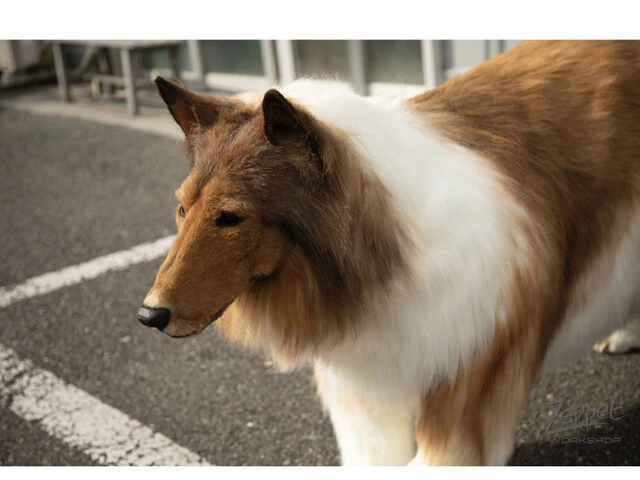 トコさん。近くで見ると毛並みが超リアル！