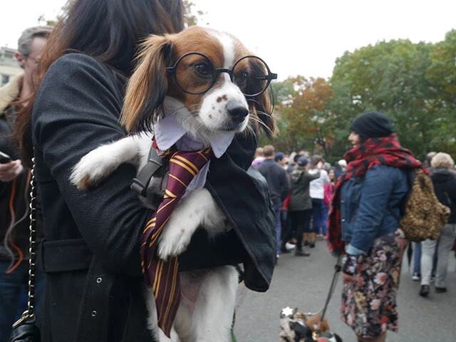 「としまえん跡地メイキング・オブ・ハリーポッターもう行ったー?」