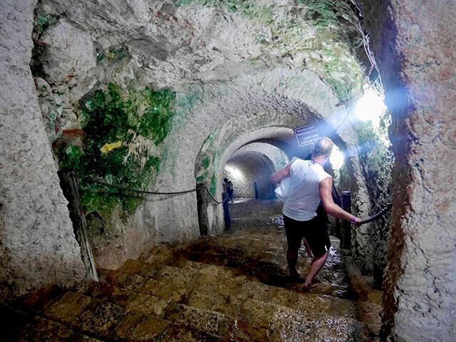 階段を下っていくとセノーテに辿り着けます