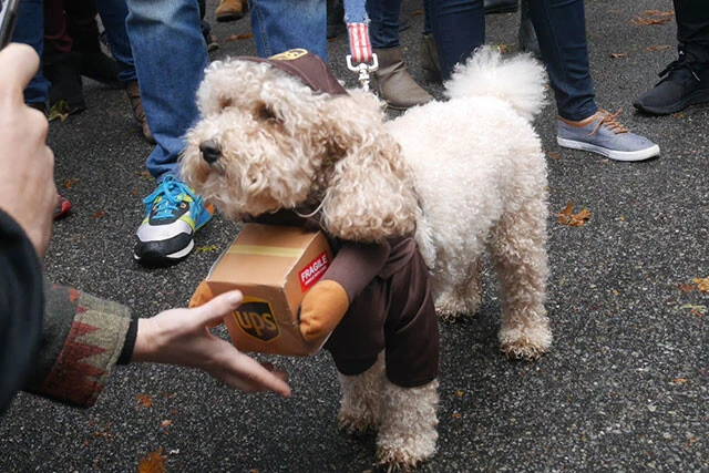 「置き配選ぶとポイント付くけどいかがスかぁ？」