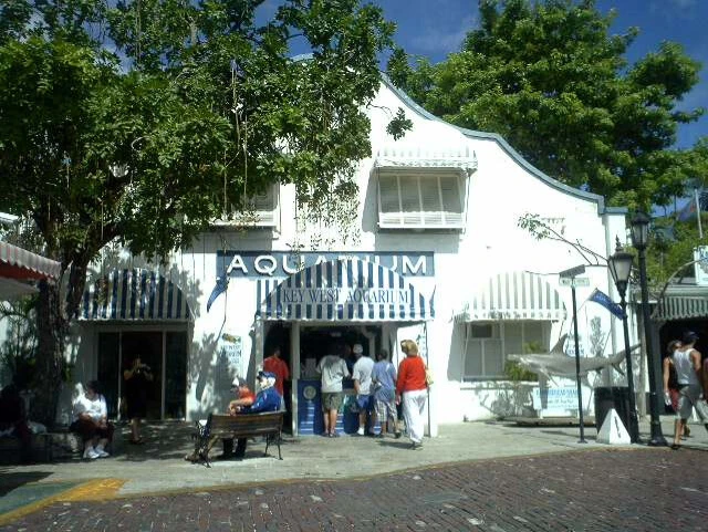 アクアリウム前のベンチに座っている像はまさかヘミングウェイ？ 違うか