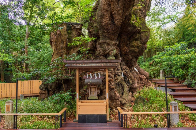 樹齢2000年以上、幹の周囲は24mという大楠が立つ神社。この大楠の周りを絶妙な距離で流れる川からもご利益を受けられそう