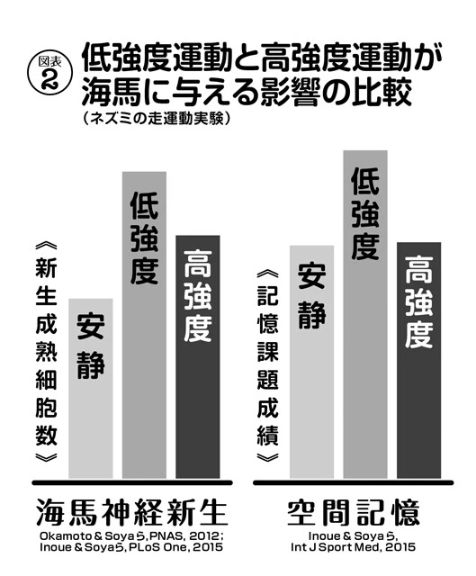 高強度の走運動でも神経増加と空間記憶力上昇傾向が認められるが、低強度の走運動のほうが効果が高い