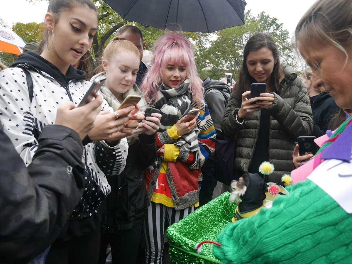 ミツバチコスのチワワに夢中のNYCギャルズ(2016年のパレード、以下同)