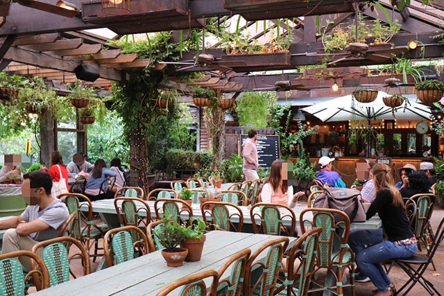 シドニーの倉庫街を改造したボタニカルな人気カフェ「THE GROUNDS」