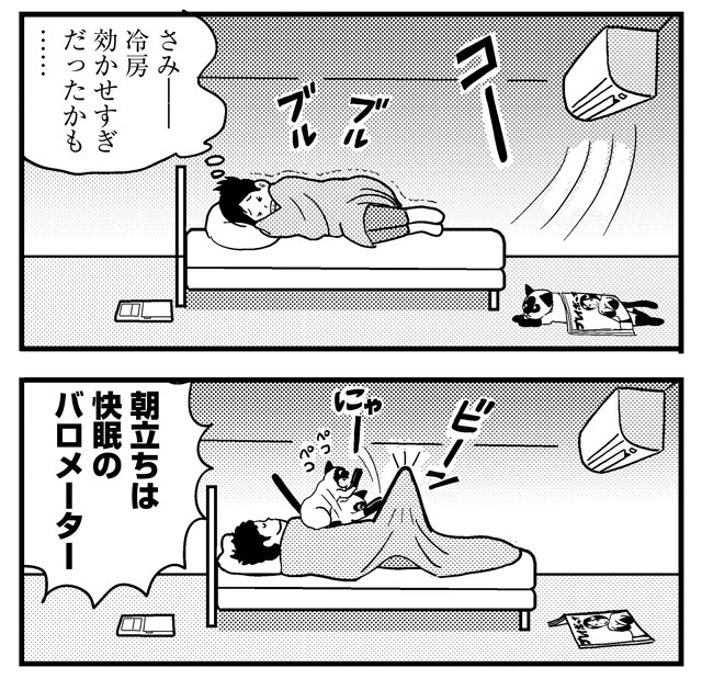 効きすぎ冷房は頻尿の大要因に! 朝立ちするのが快眠の証しです!!