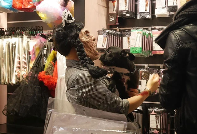 ワンちゃんが懐いているマスクの中身はきっとキレイなお姉さんのはず?