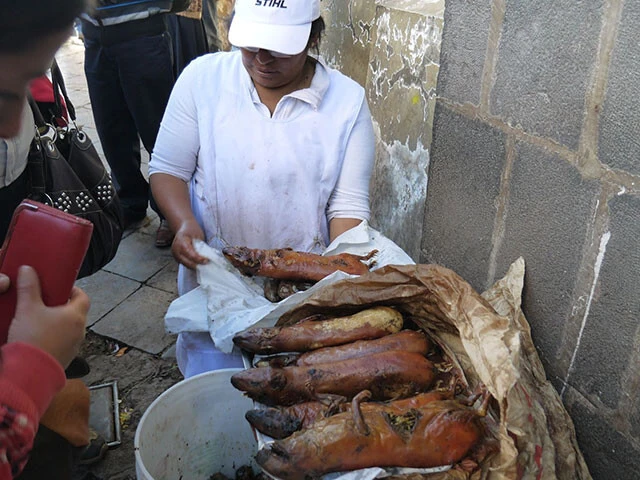 ペルーの名物クイ(テンジクネズミ)