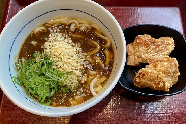 和風カレーうどん(並盛・490円)+鶏唐2個(1個150円×2)