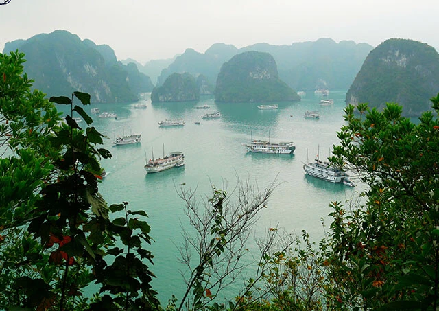 ベトナムの自然豊かな景勝地ハロン湾でのクルーズ