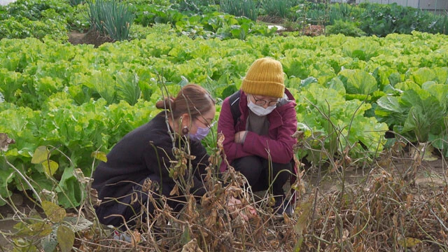 「地域で共に生きるナノ」の畑で作業する鈴木ゆずなさん