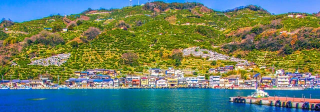 海と山に挟まれた八幡浜市の街並み