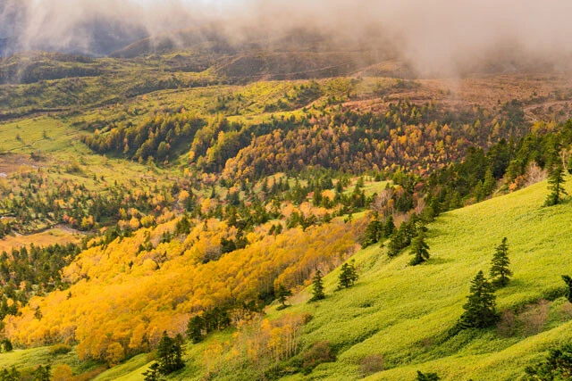 渋峠の紅葉(群馬県)