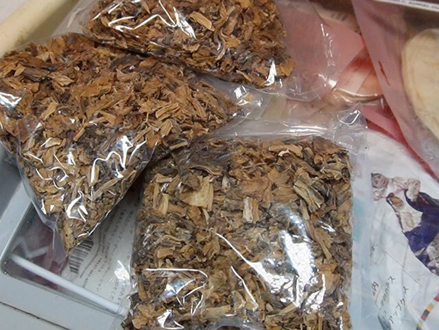 調理前の「グンドゥルック」を見せてくれました