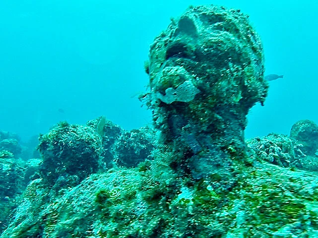 悲痛な叫びを上げているかのようにも見えます