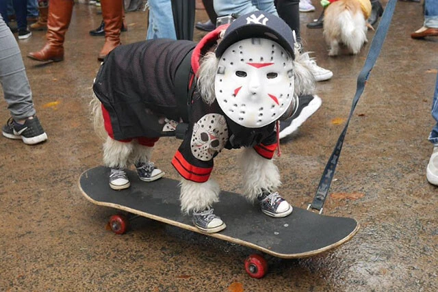 13日の金曜日のマスクを被ったジェイソンドッグ