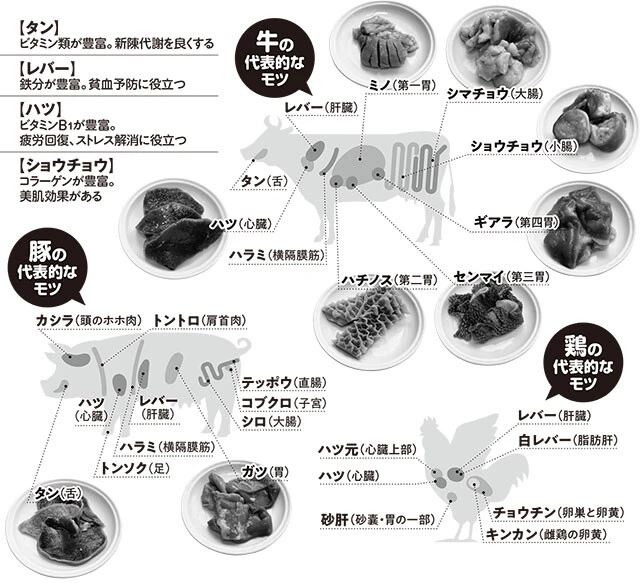 牛・豚・鶏の代表的なモツの部位