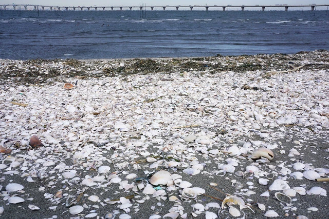 奥には東京方面へ続くアクアライン