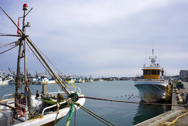 利根川沿いの風景