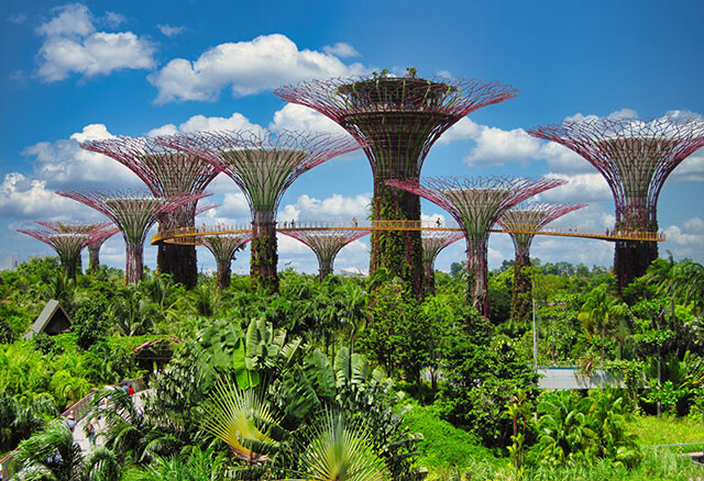 シンガポールで人気の巨大植物園「ガーデンズ・バイ・ザ・ベイ」