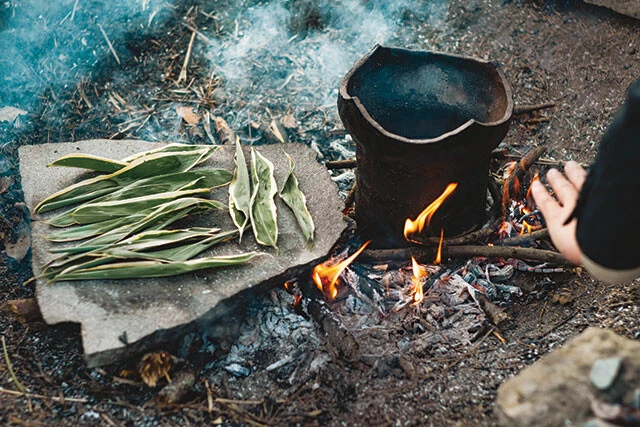 自分たちでおこした火と自分たちで作った土器で、川辺で採ったクマザサのお茶を入れる。とても甘いそうだ