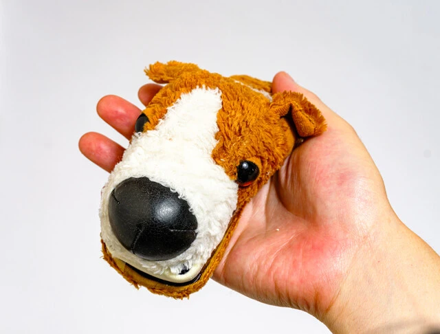 ポストカードブックやグッズが大ヒット！　平面の写真で人気でしたが、魚眼レンズ効果を立体的に表現した3次元グッズも登場。当時主流になり始めたふたつ折りガラケー（パカパカ携帯電話）のカバーも。装着したまま通話もできる優れものです