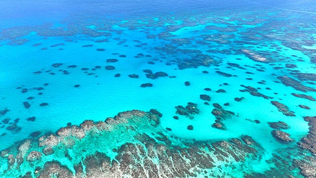 ケアンズ (オーストラリア)「グレートバリアリーフ」に広がるサンゴ礁【往復航空券目安(5/3~6)】・6万5259円(ジェットスター航空/成田) ・10万7320円(ヴァージン・オーストラリア航空/成田)