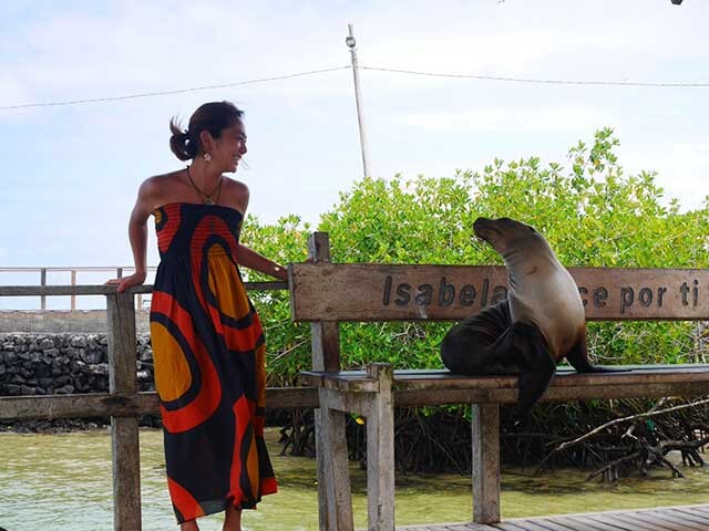 ガラパゴス諸島でアシカと戯れる(お触り禁止)