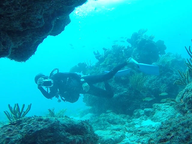 ダイビング中の私を撮影してくれている聡子さん