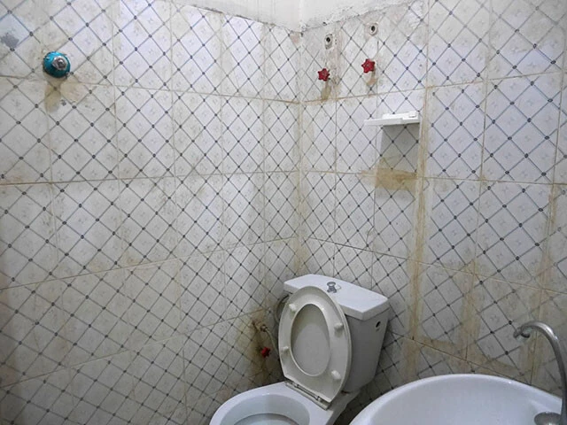 水洗洋式トイレとシャワーのような水の出る穴付き