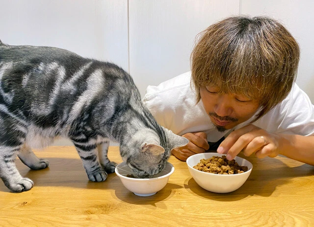 愛猫と一緒に並んで食べられる！