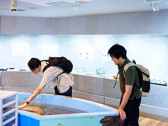 あわしまマリンパーク