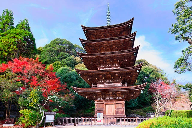 工事前の瑠璃光寺五重塔。1442年、室町時代中期に建立された山口市唯一の国宝。高さは約31m。塔の身部は上層階に行くにつれて間が狭くなっている