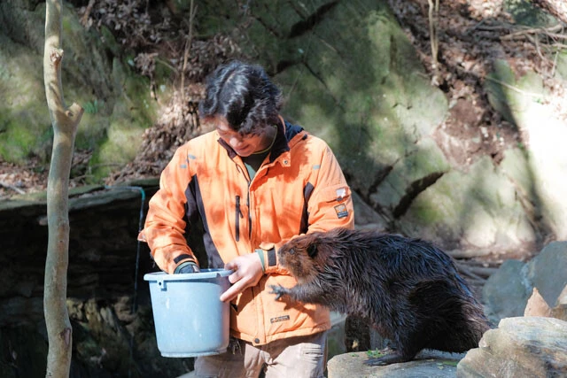動画には飼育員の皆さんも出演している。パークファンの間ではちょっとした有名人に