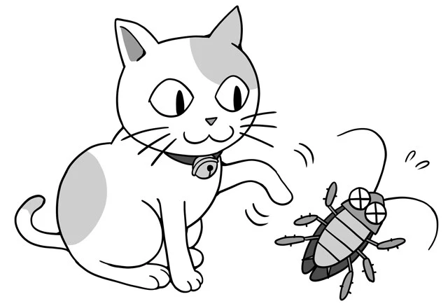 根強い「猫がいる家にはゴキブリは出ない」説。飼い猫がゴキブリを見つけて遊んだり、食べたりするというのが根拠らしいが......