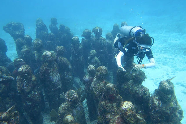 海底美術館MUSAは珊瑚を破壊から守るために始まったプロジェクト