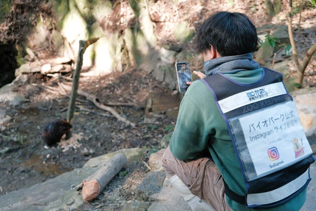 パークでは毎日のようにLIVEも配信。YouTube、Instagram、TikTokのLIVEを尺やコンテンツによって使い分けているのだとか