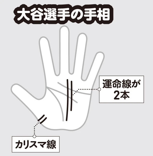大谷選手の手相