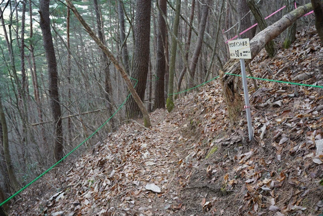 立入禁止ロープのおかげで道に迷わない