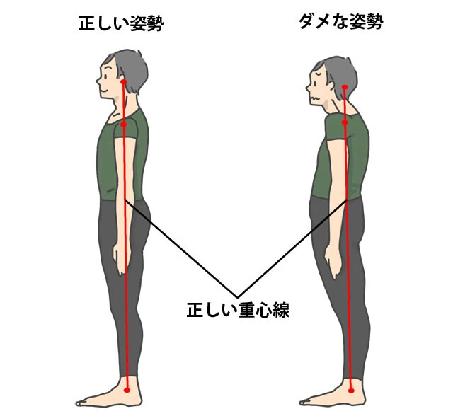 耳からくるぶしまで結んだ重心線が垂直になっているのが正しい姿勢。しかし、姿勢が悪いと頭や肩、腹部が前に出たりと正しい重心線からズレてしまい、体のあちこちに負荷がかかる